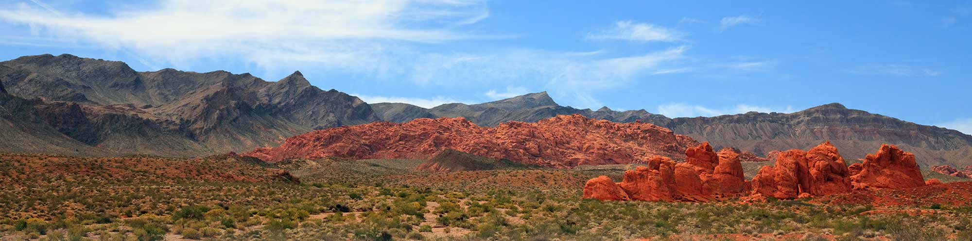 Arizona landscape