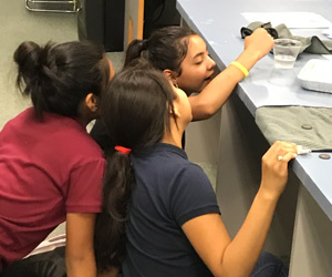 Three students doing a science activity together