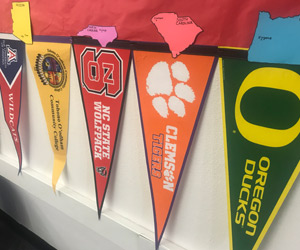 Sports team flags